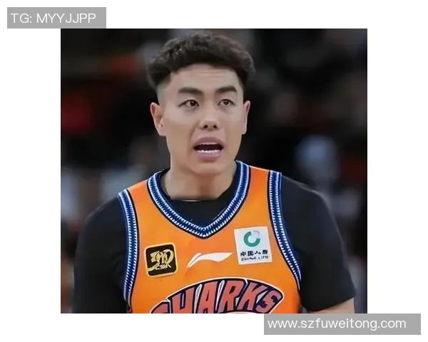 李添荣的奋斗历程与成就分享:从平凡到卓越的成长之路