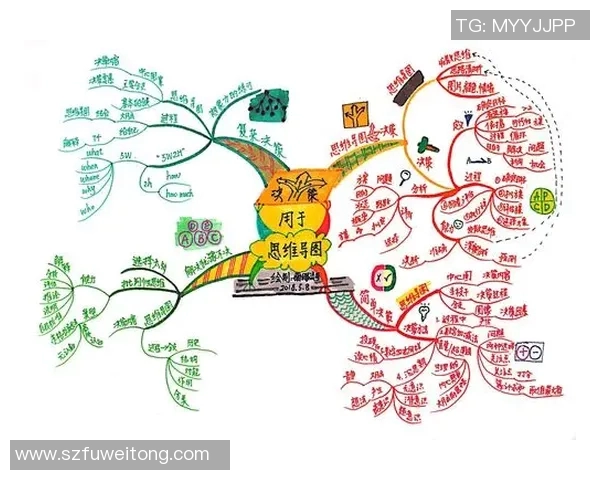 篮球明星月迪奇的成长之路与职业生涯的辉煌成就分析