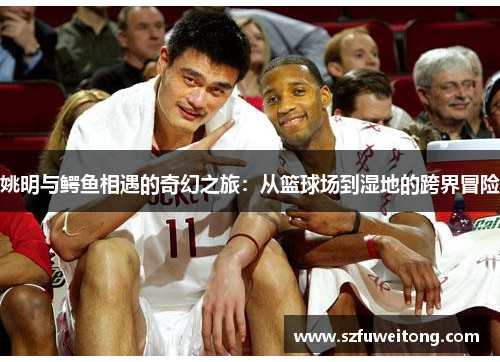 姚明与鳄鱼相遇的奇幻之旅：从篮球场到湿地的跨界冒险