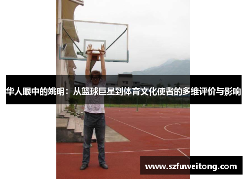 华人眼中的姚明：从篮球巨星到体育文化使者的多维评价与影响